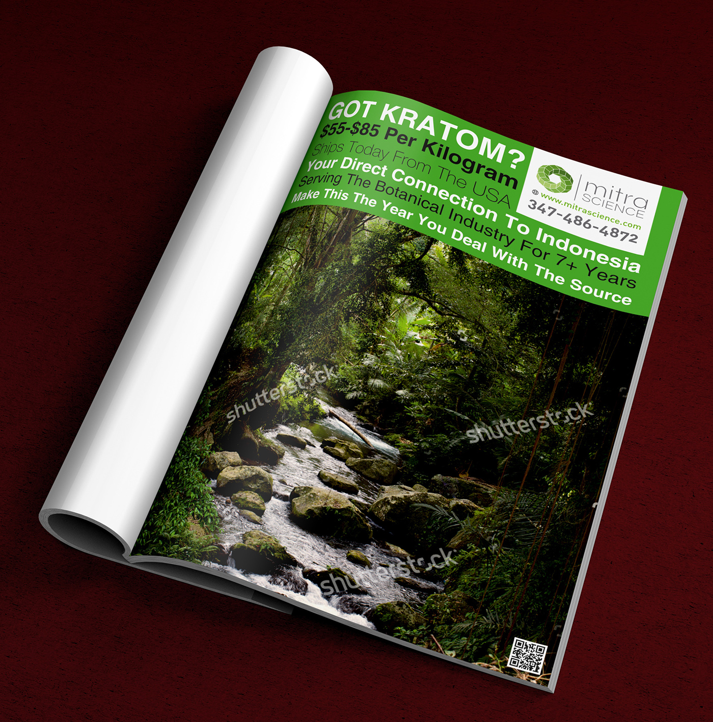 Flyer Design by ALSADESIGN for PHI MARKETING LLC | Design #11319328