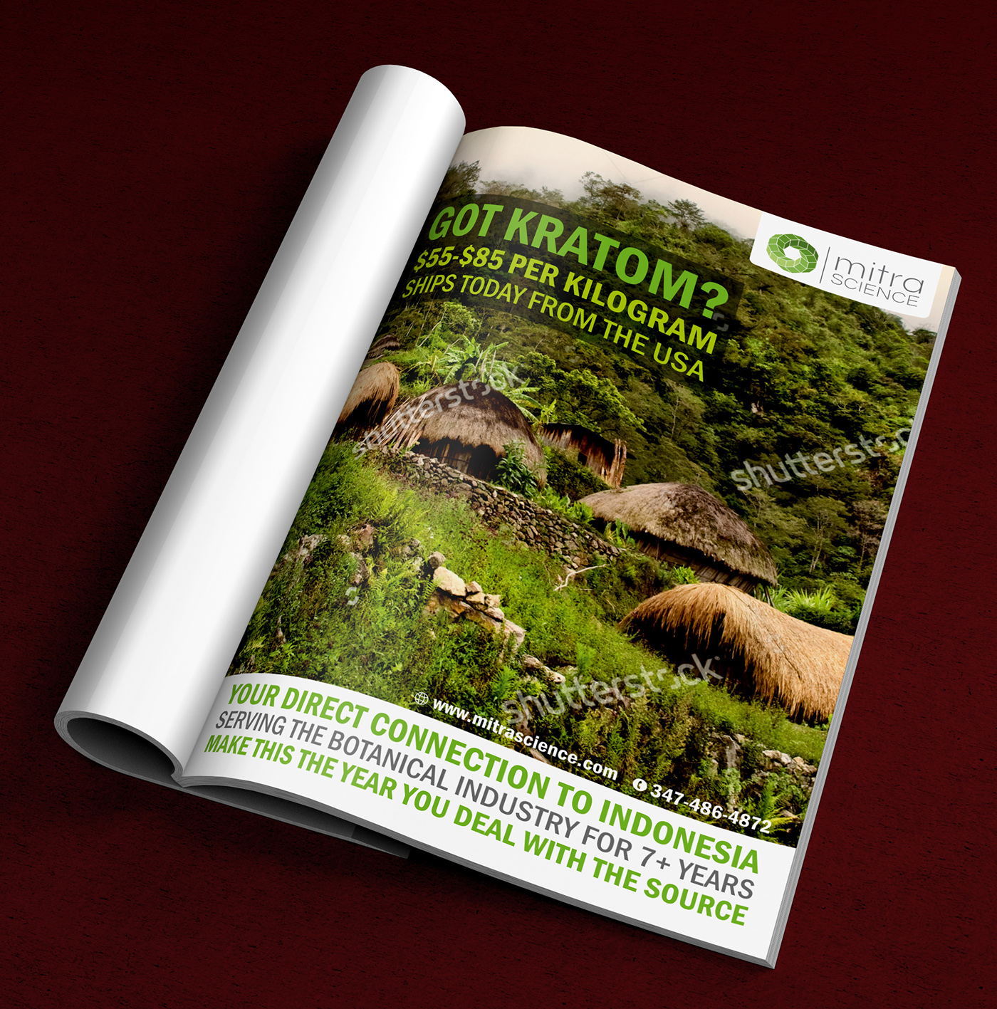 Flyer Design by ALSADESIGN for PHI MARKETING LLC | Design #11319629