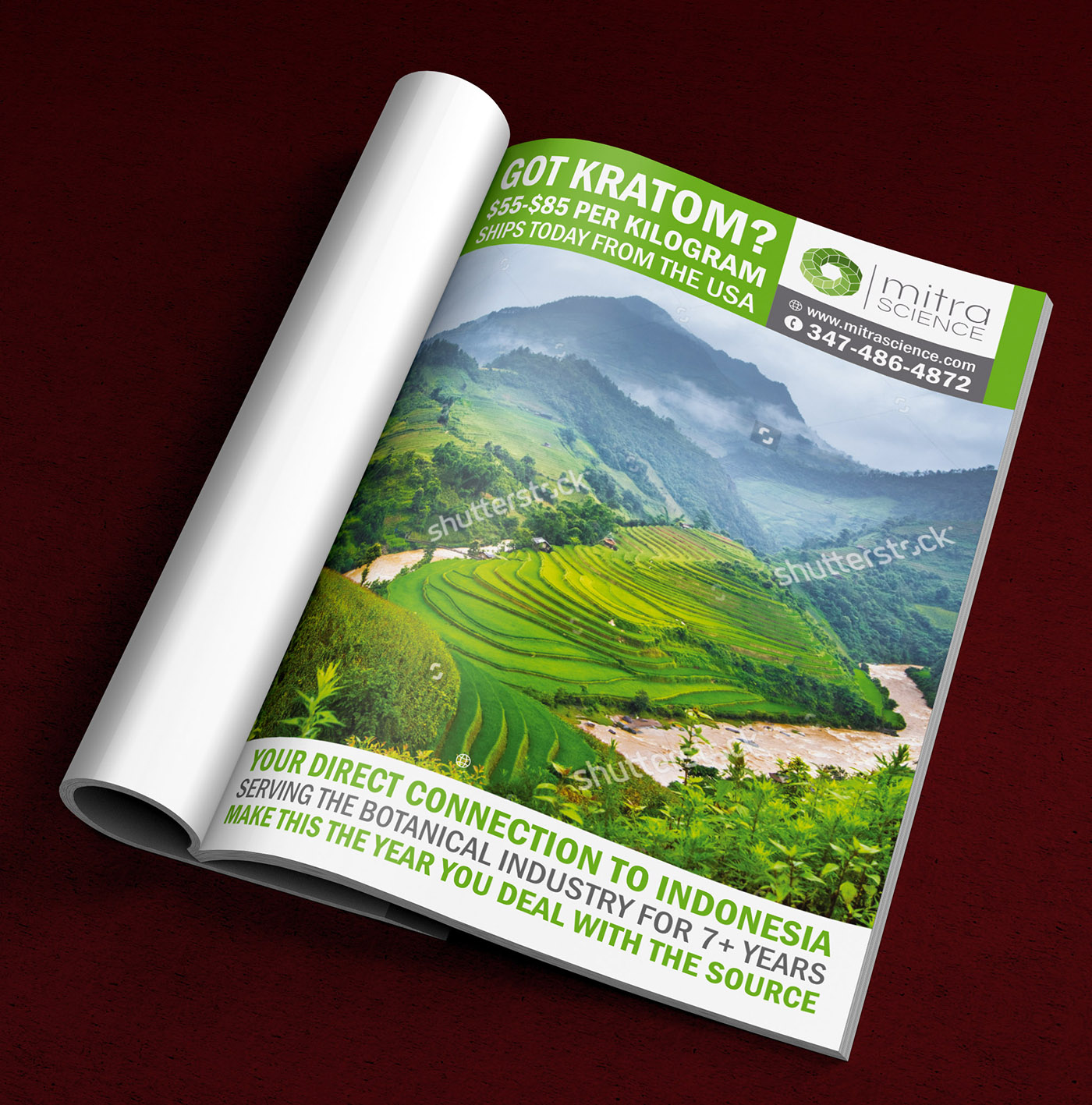 Design de Flyer par ALSADESIGN pour PHI MARKETING LLC | Design : #11319693