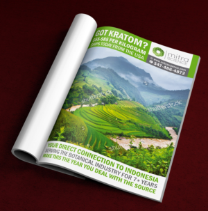 Design de Flyer par ALSADESIGN pour PHI MARKETING LLC | Design : #11319693