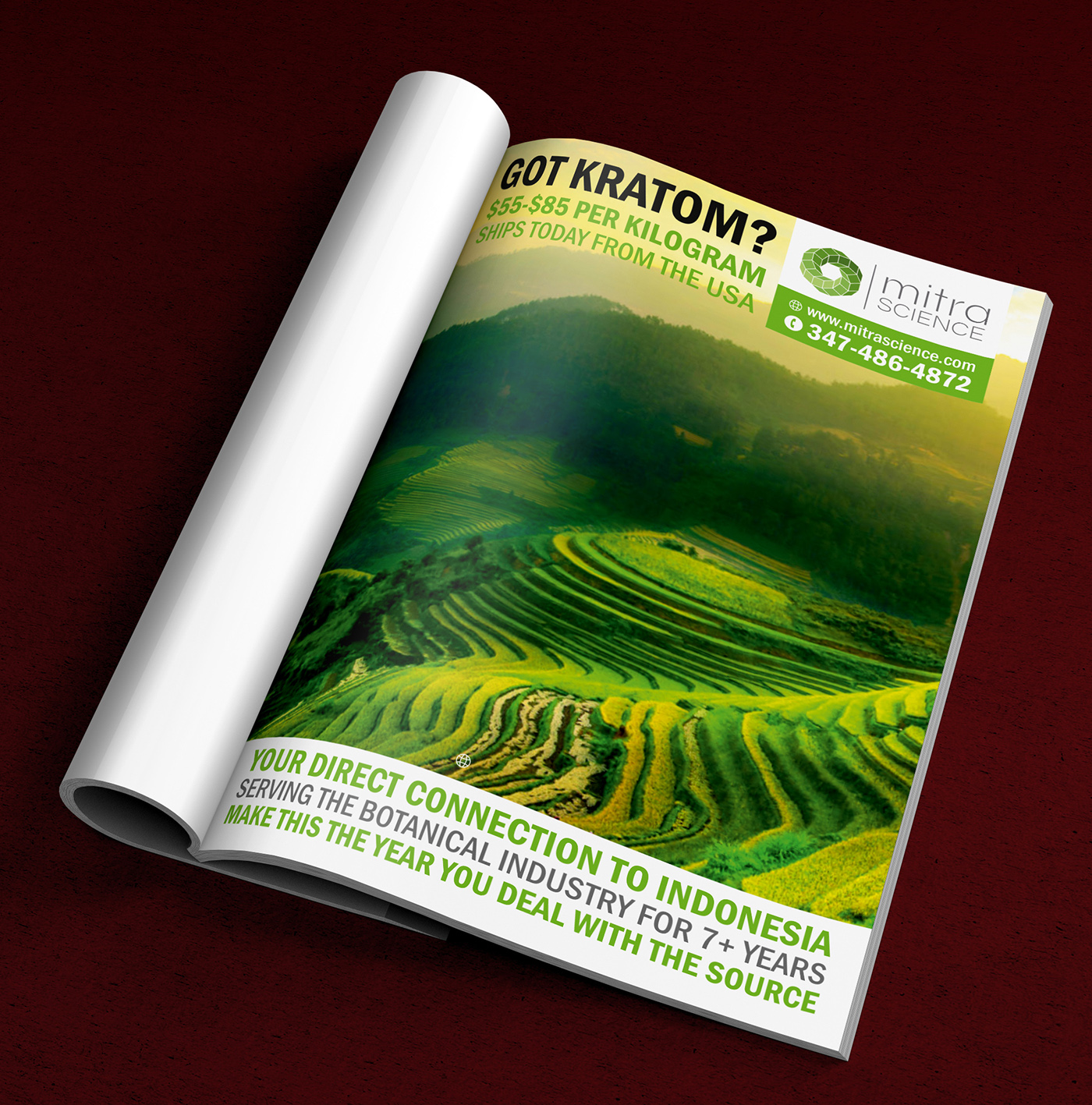 Flyer Design by ALSADESIGN for PHI MARKETING LLC | Design #11319816