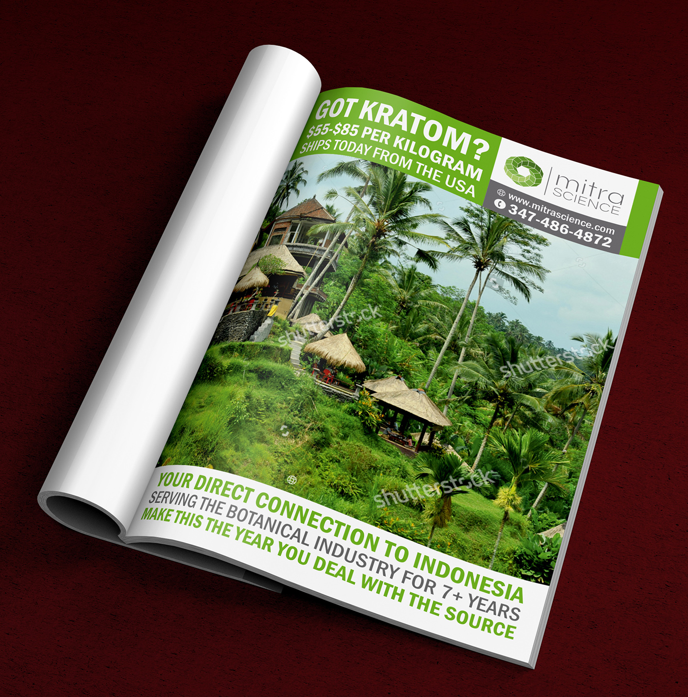 Flyer Design by ALSADESIGN for PHI MARKETING LLC | Design #11319822