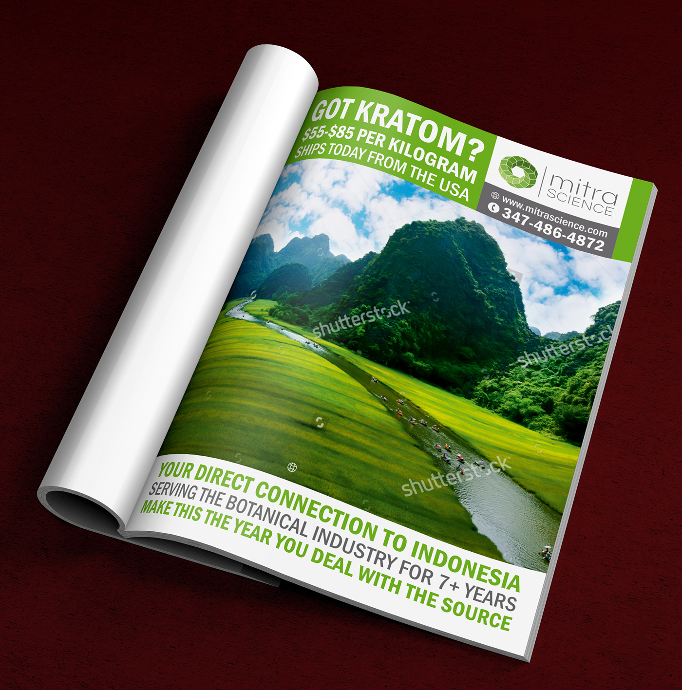 Flyer Design by ALSADESIGN for PHI MARKETING LLC | Design #11322275