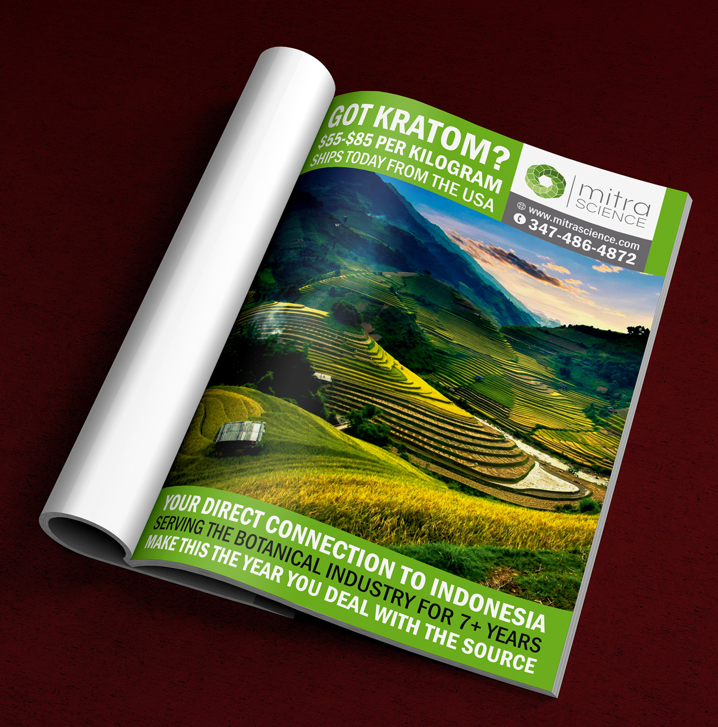 Flyer Design by ALSADESIGN for PHI MARKETING LLC | Design #11322308