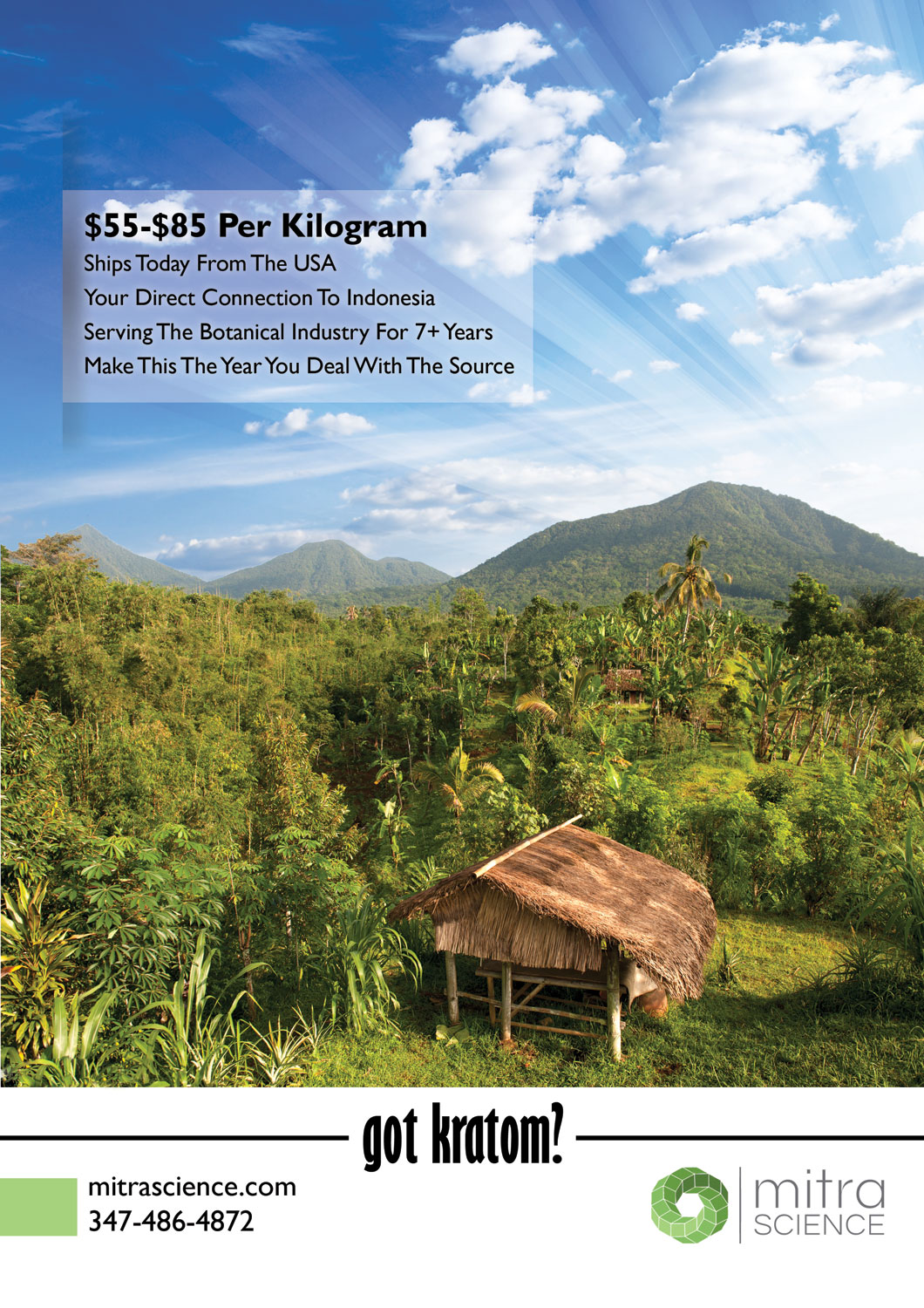 Flyer Design by Artizzle for PHI MARKETING LLC | Design #11326166