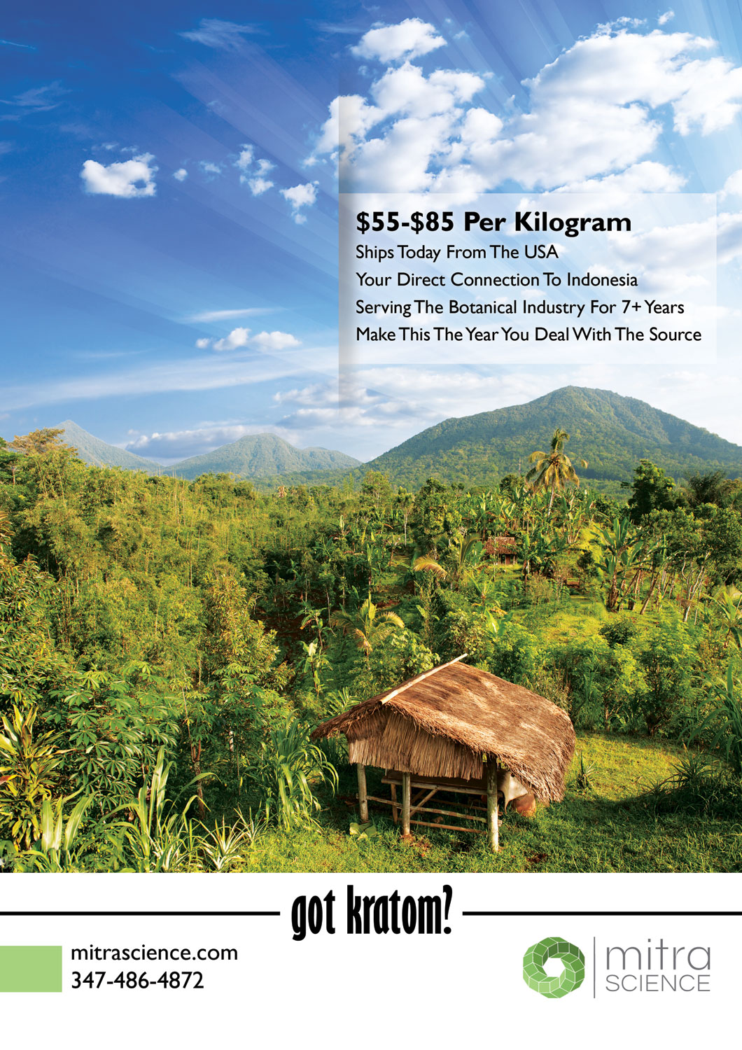 Flyer Design by Artizzle for PHI MARKETING LLC | Design #11326168