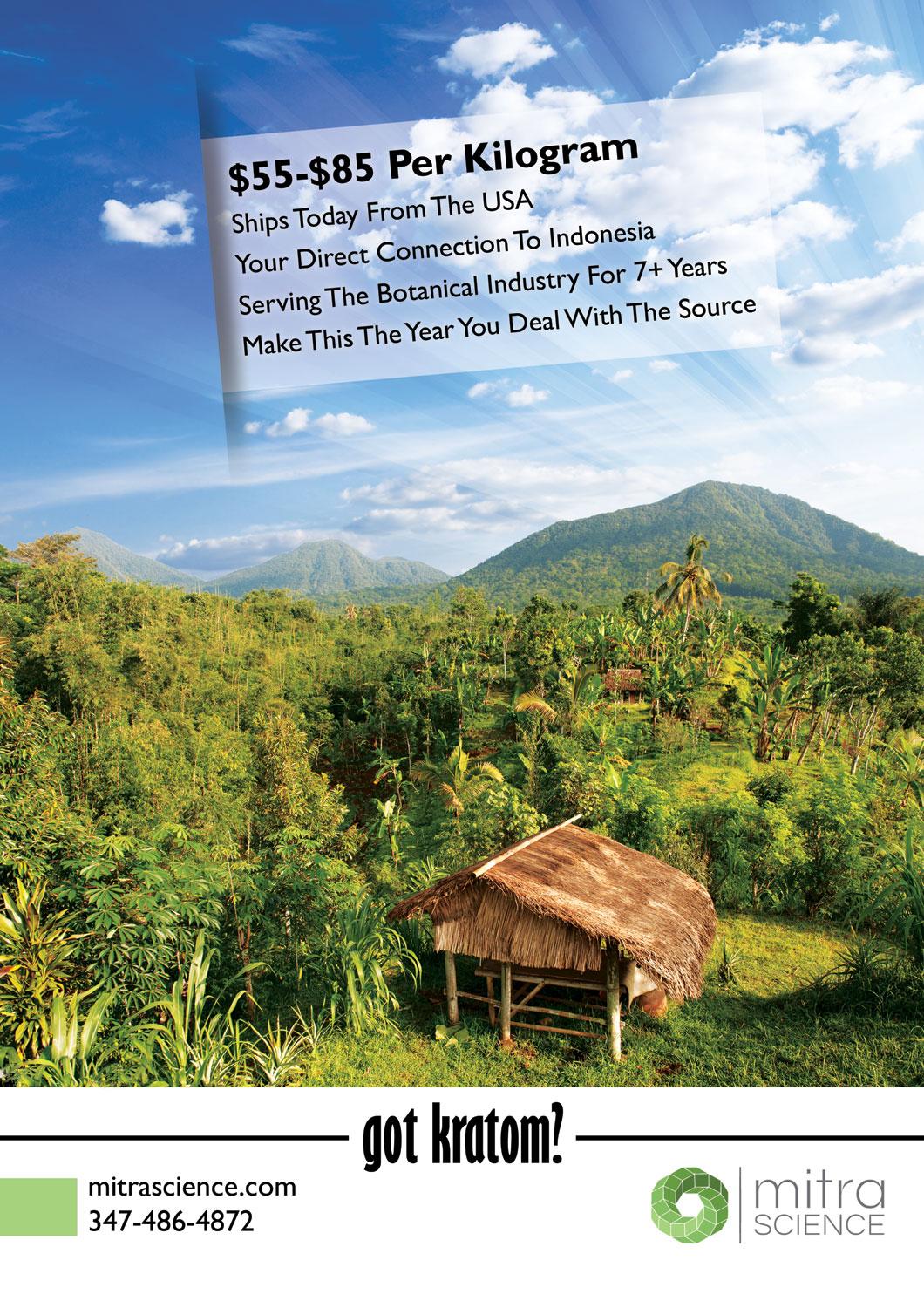 Flyer Design by Artizzle for PHI MARKETING LLC | Design #11326171