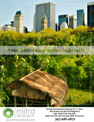 Flyer Design by Asgard Advertising