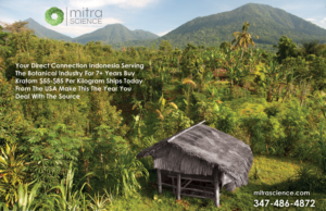 Flyer Design by NILDesigns