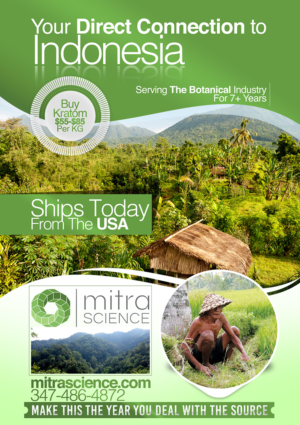 Design de Flyer par nextconcept pour PHI MARKETING LLC | Design #11319115