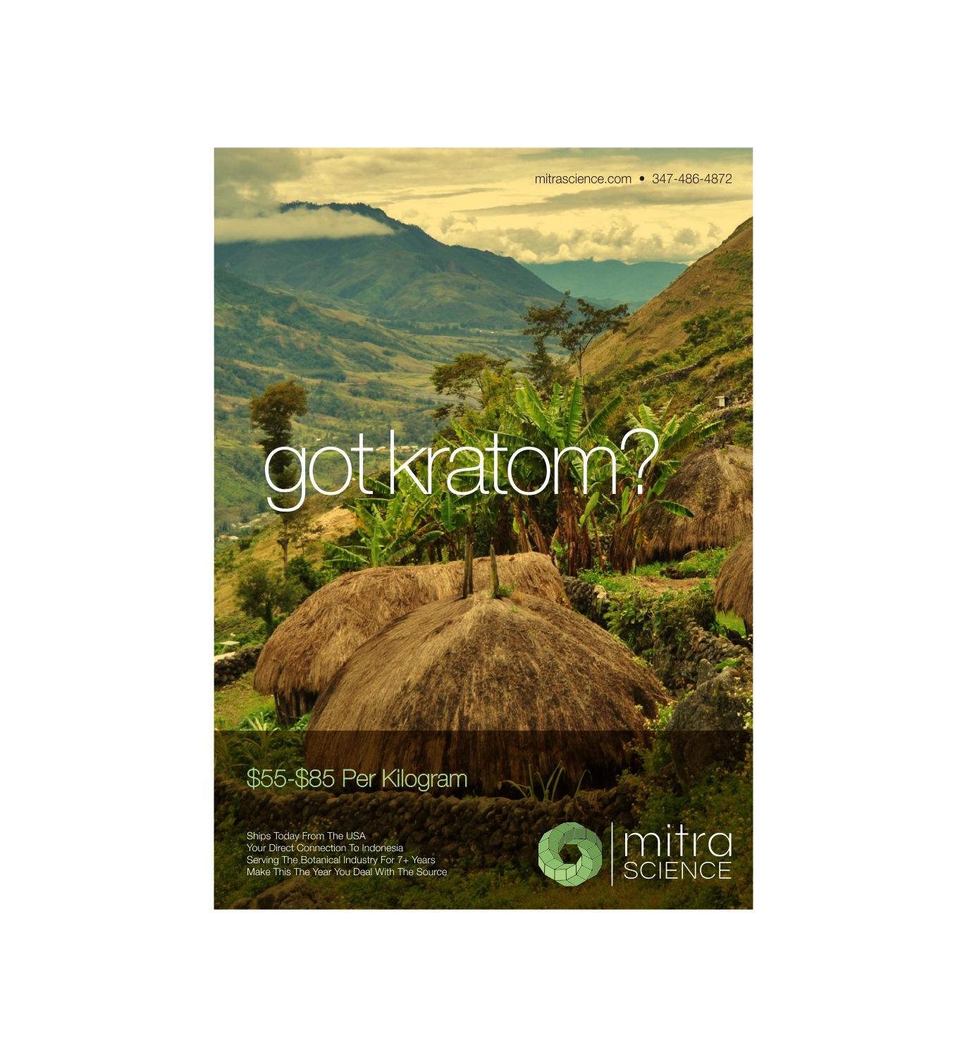 Flyer Design by vikas naik for PHI MARKETING LLC | Design #11325708