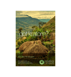Design de Flyer par vikas naik pour PHI MARKETING LLC | Design #11325708