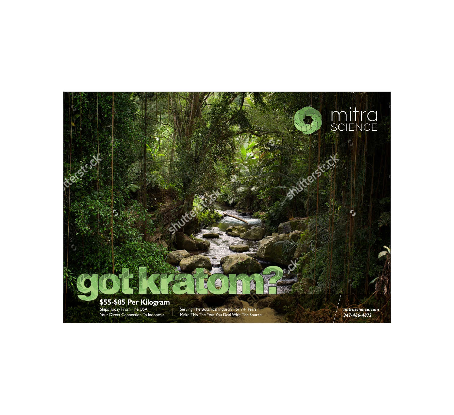 Flyer Design by vikas naik for PHI MARKETING LLC | Design #11325709
