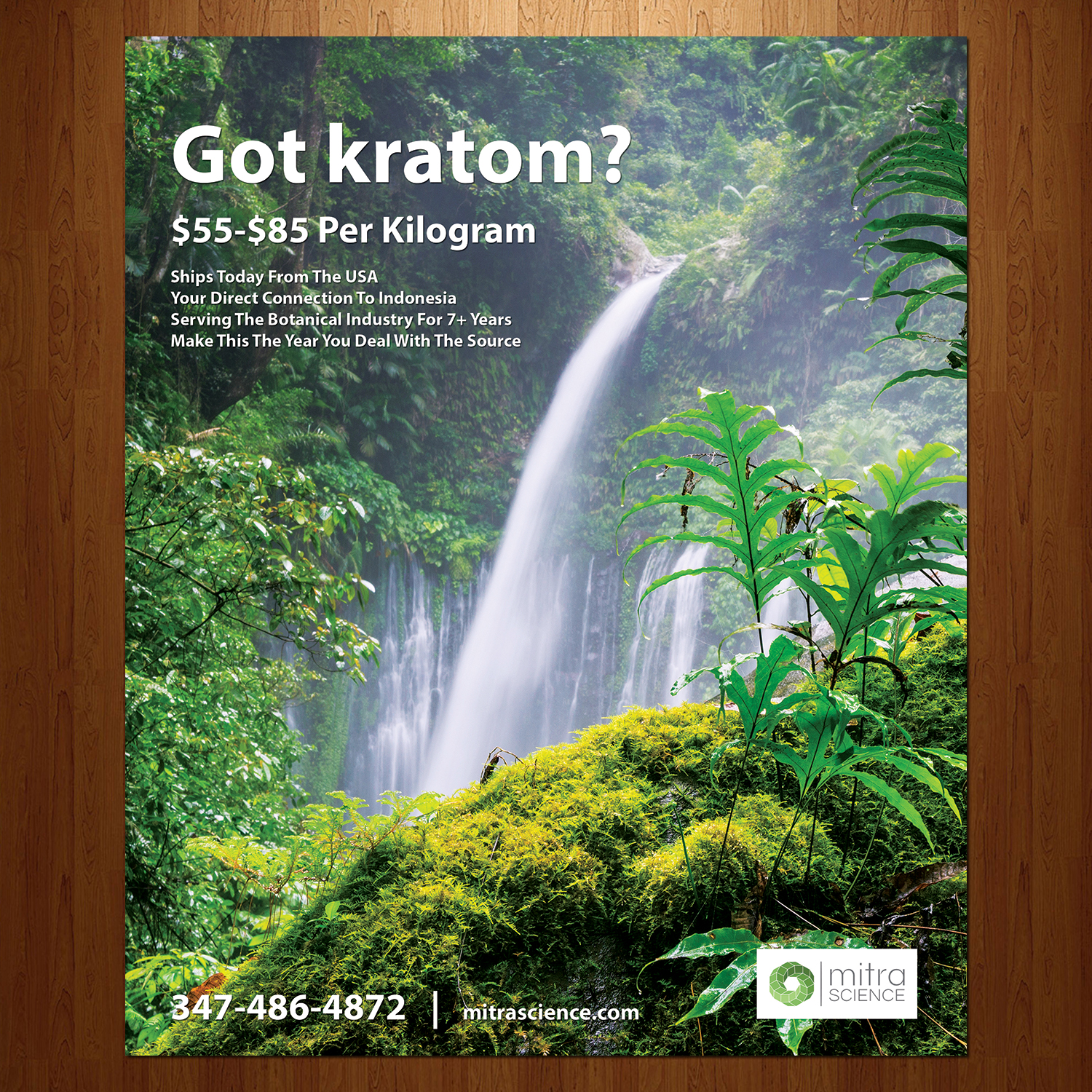 Design de Flyer par VEGA-Designs pour PHI MARKETING LLC | Design #11323939