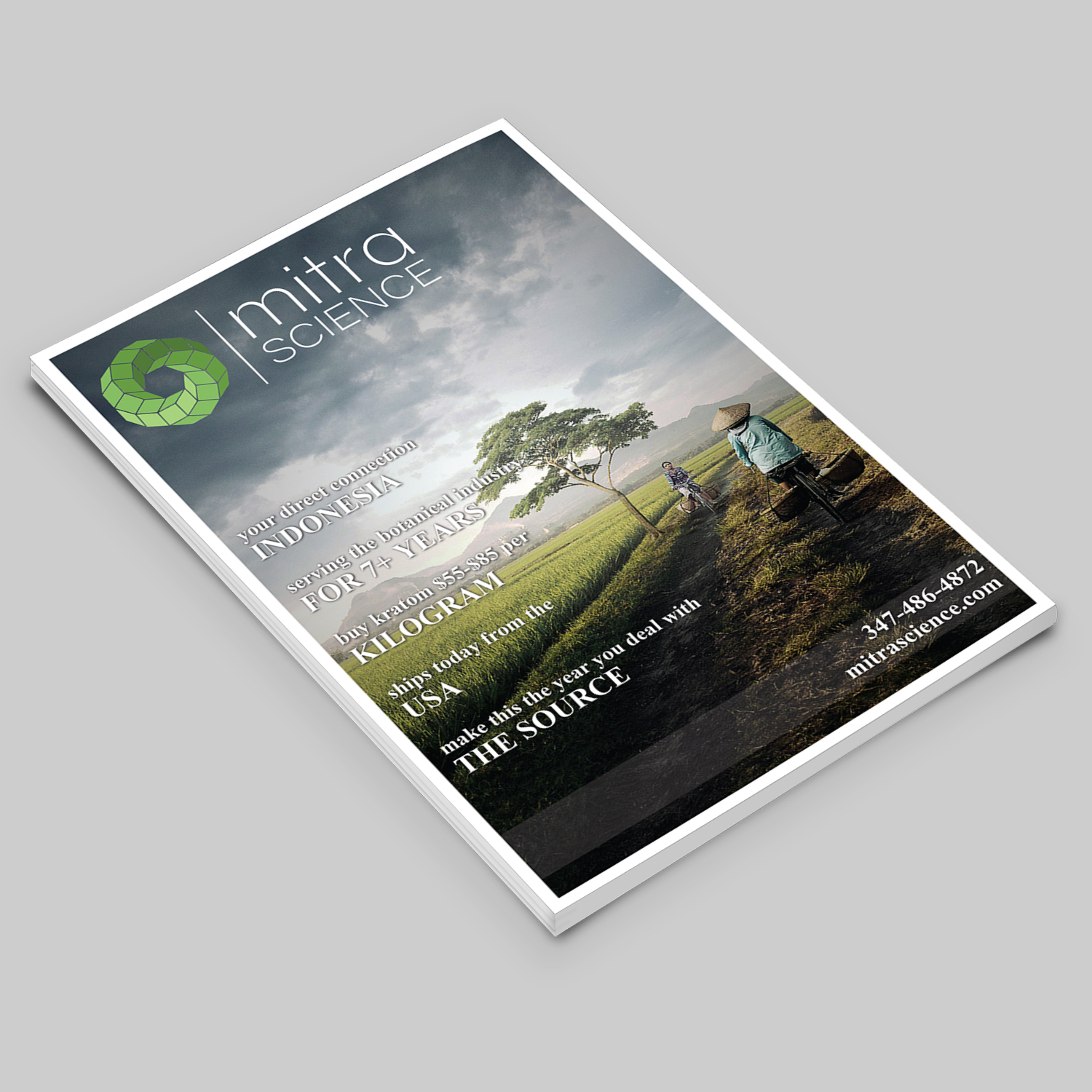 Flyer Design by Zohan Pathan for PHI MARKETING LLC | Design #11318657