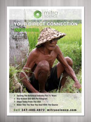 Design de Flyer par TSU Creations pour PHI MARKETING LLC | Design : #11317095
