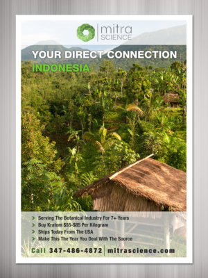 Flyer Design by TSU Creations for PHI MARKETING LLC | Design: #11317122