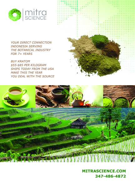 Design de Flyer par Unique Styles pour PHI MARKETING LLC | Design #11315169