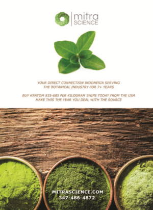 Design de Flyer par Unique Styles pour PHI MARKETING LLC | Design : #11315530