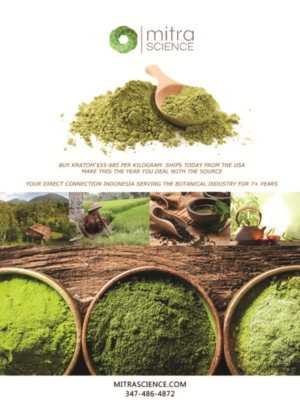 Design de Flyer par Unique Styles pour PHI MARKETING LLC | Design : #11316245