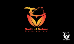 Design de Logo par Louie Fuentes | Manobo Graphic Design Services pour ce projet | Design : #11447243