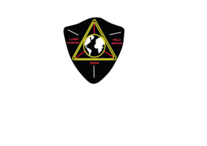 Logo Design by Idris ElSenussi