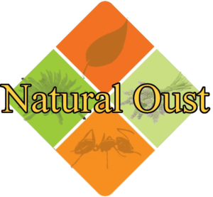 Logo Design by epavlick05