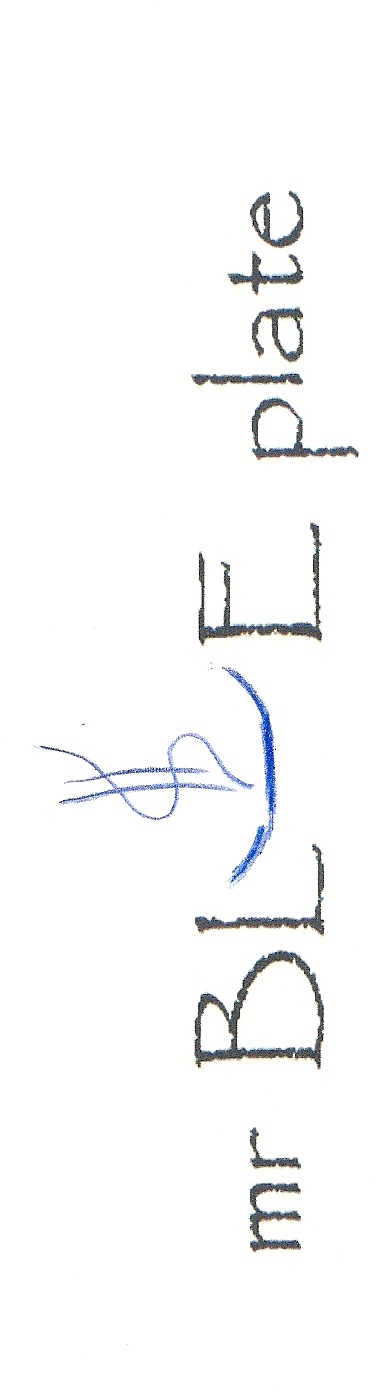 Vector Design by Anne Paone for Brand X Communications | Design #23927