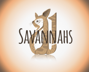Logo Design by Madj Rosana