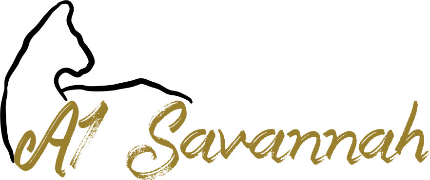 Logo Design by 3to1designservices for A1 Savannahs   | Design #11434996