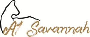 Logo Design by 3to1designservices for A1 Savannahs   | Design #11434996