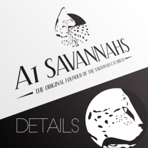 Logo Design by dede_dwiyansyah for A1 Savannahs   | Design #11821497