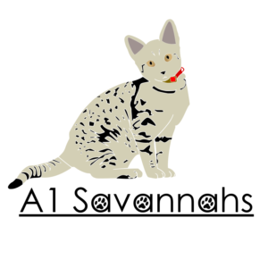 Logo Design by iKdesigner for A1 Savannahs   | Design #11796831