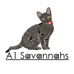 Diseño de Logo por iKdesigner para A1 Savannahs   | Diseño: #11796833