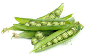 Photoshop Design by digichik