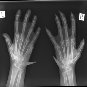 Photoshop Design by credfern5648