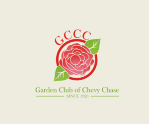 Logo Design by Homelogo