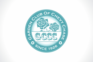 Logo Design by Dave Paresh