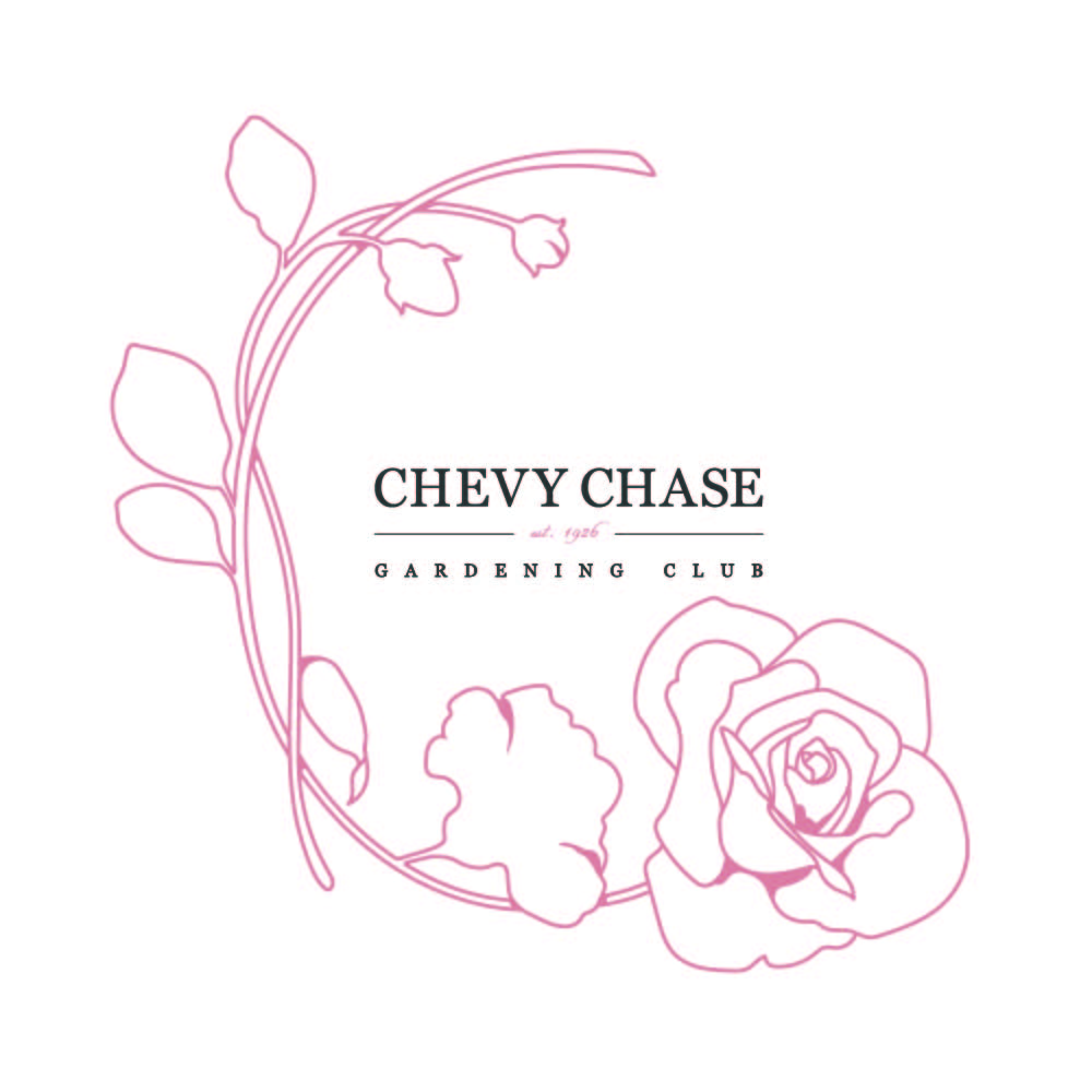 Diseño de Logo por Andi para este proyecto | Diseño #11382208