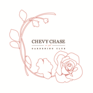 Logo Design by Andi