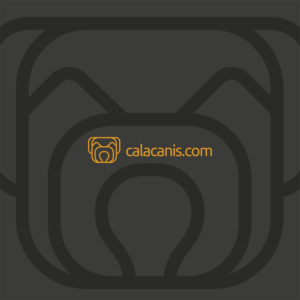 Logo-Design von SRJ für DesignCrowd LLC | Design: #11397931
