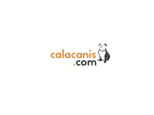 Logo Design by Jack Broad