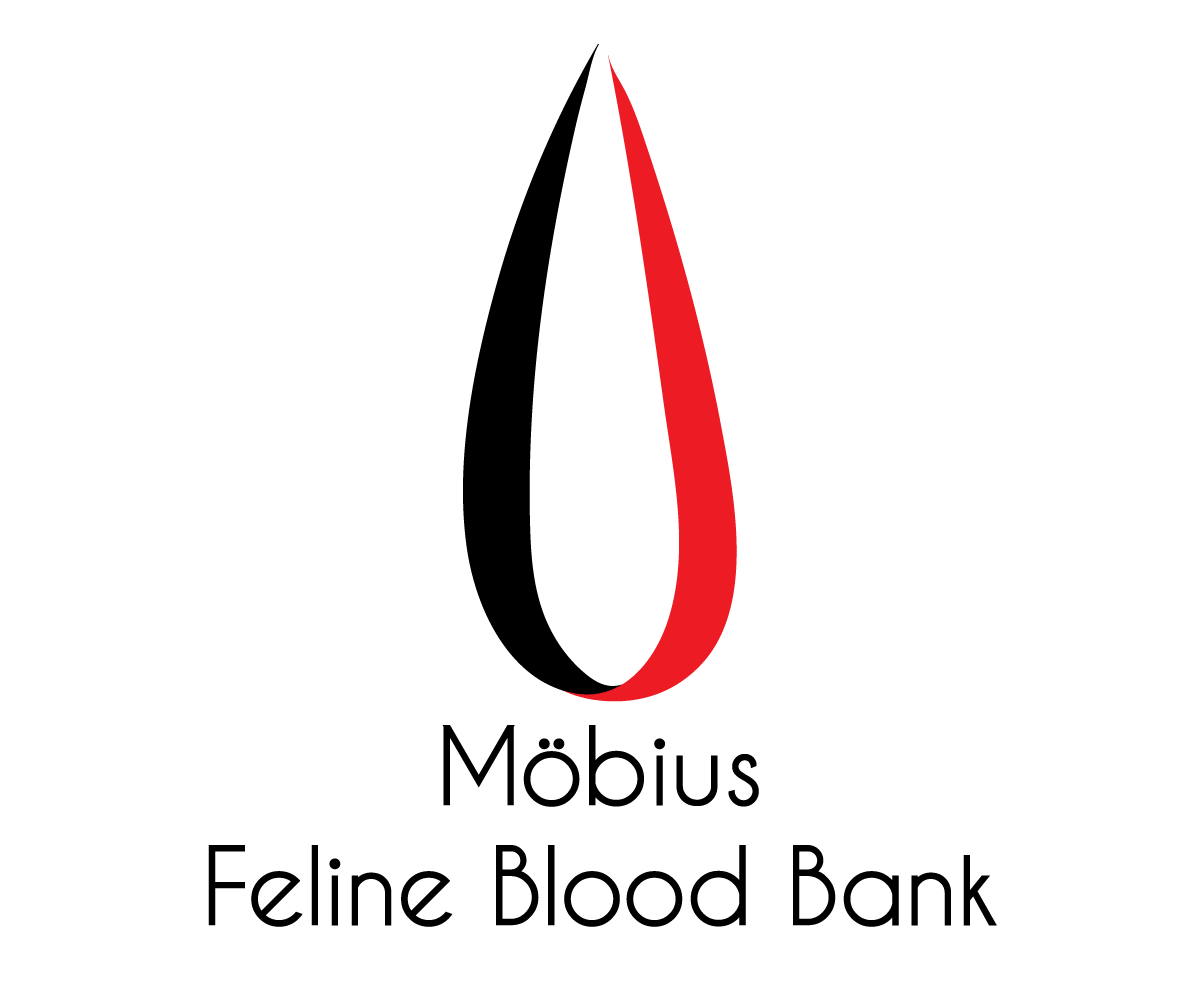 Logo-Design von selepsays für dieses Projekt | Design #11359826