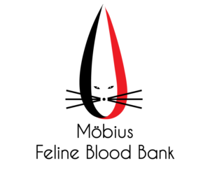 Logo-Design von selepsays für dieses Projekt | Design: #11359833