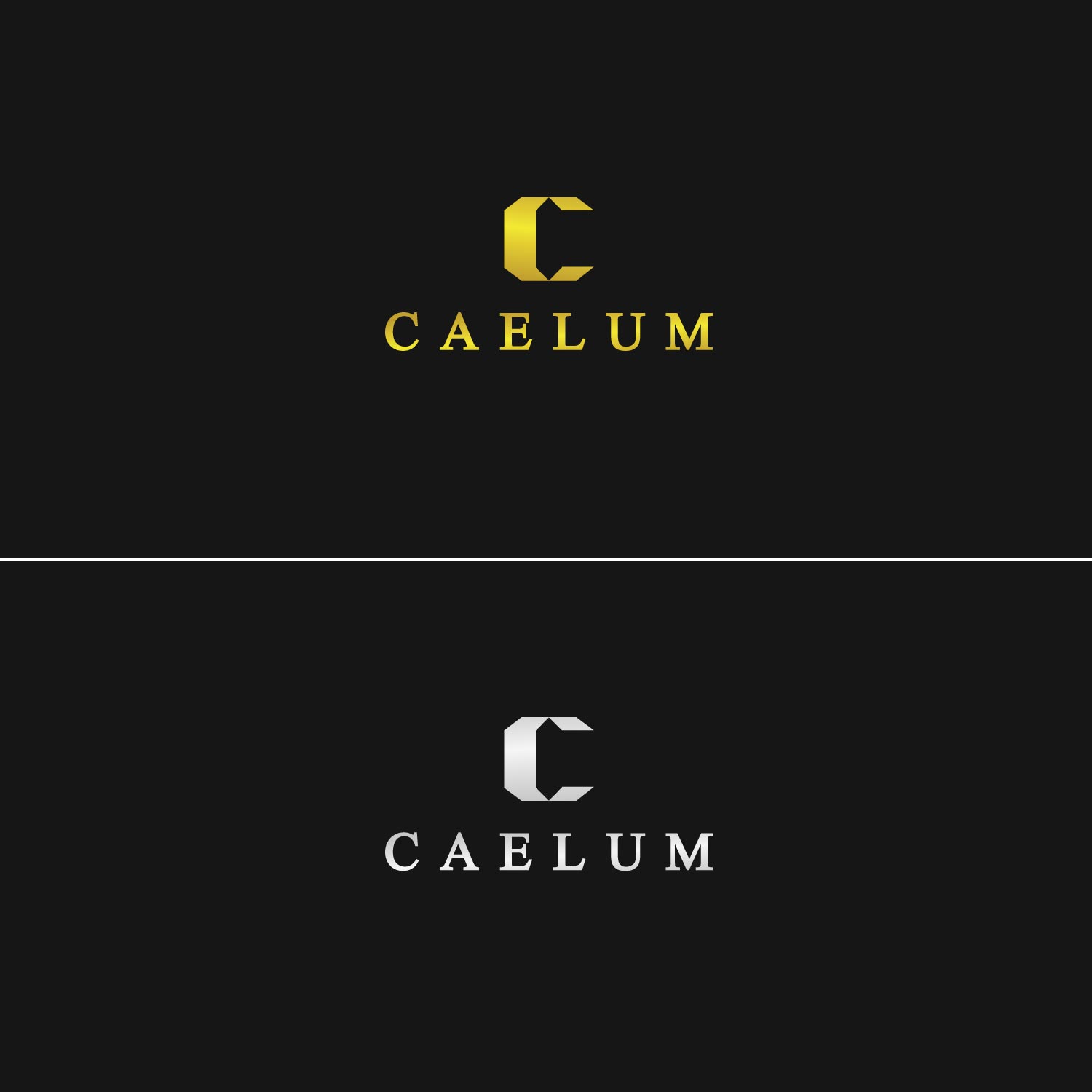 Logo Design by karthika vs for this project | Design #11386387