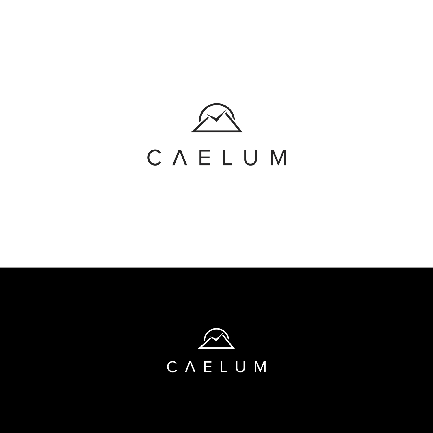 Logo-Design von tavi für dieses Projekt | Design #11399260