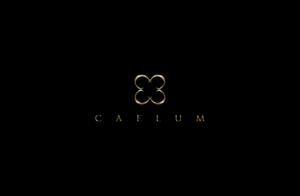 Logo Design by GLDesigns for this project | Design #11375317
