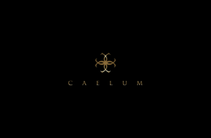 Logo Design by GLDesigns for this project | Design: #11379811