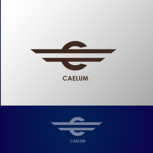 Logo Design by franke for this project | Design #11400378