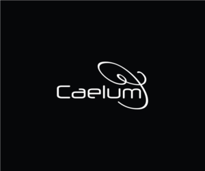 Logo Design by ivana_ivana for this project | Design: #11436484